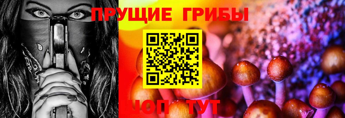 Галлюциногенные грибы GOLDEN TEACHER  Псилоцибиновые грибы MAGIC MUSHROOMS  наркота  Щёлково  Вход с VPN 
